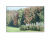 Wasna foto-kartka - bez ramki
